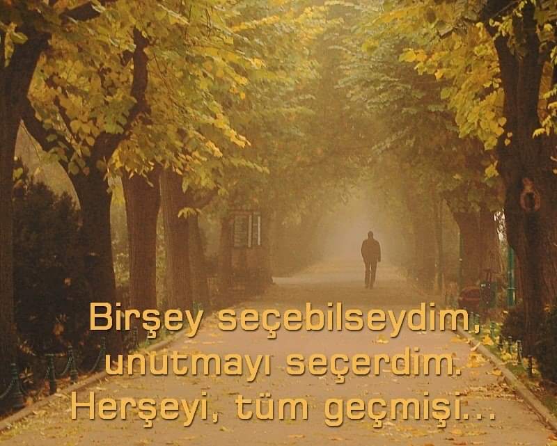 Hebun