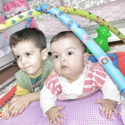 Sedat