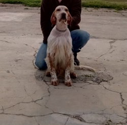 Necati