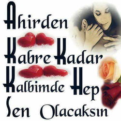 Şahin
