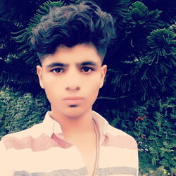 Ali