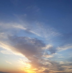 Süleyman