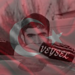 Veysel