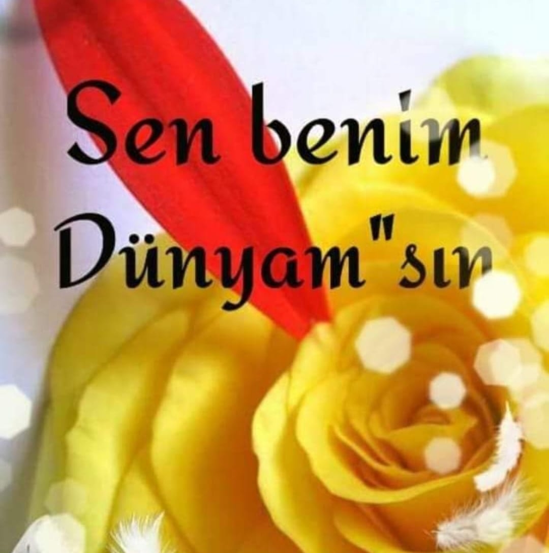Reyhan