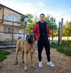Volkan