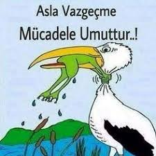 Can