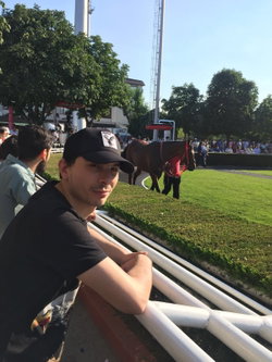 Erdal