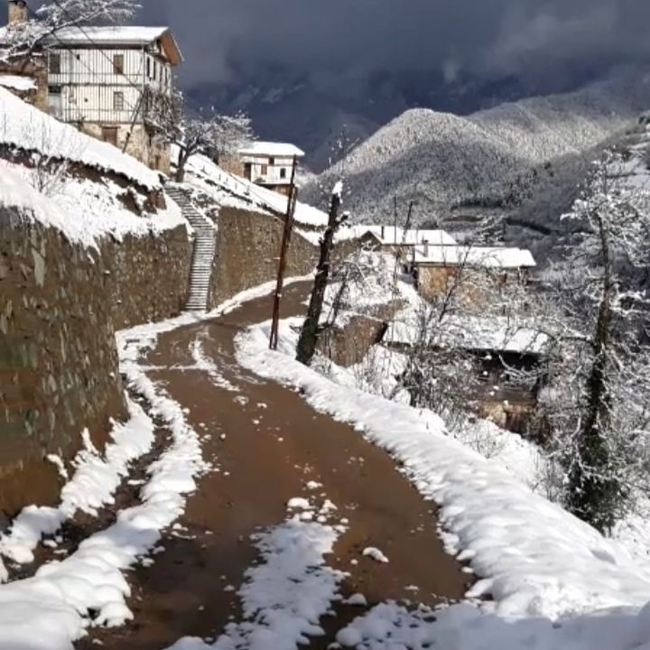 Şenay