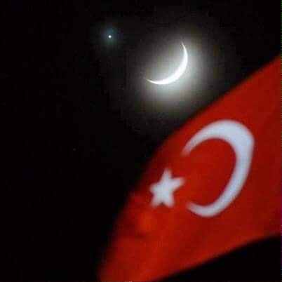 Gül