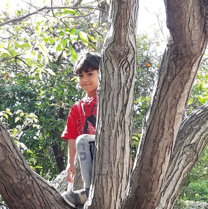Ibrahim