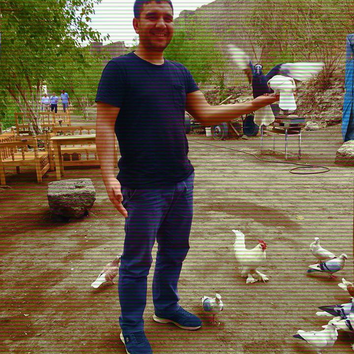 Mahmut