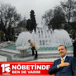 Ayşenur