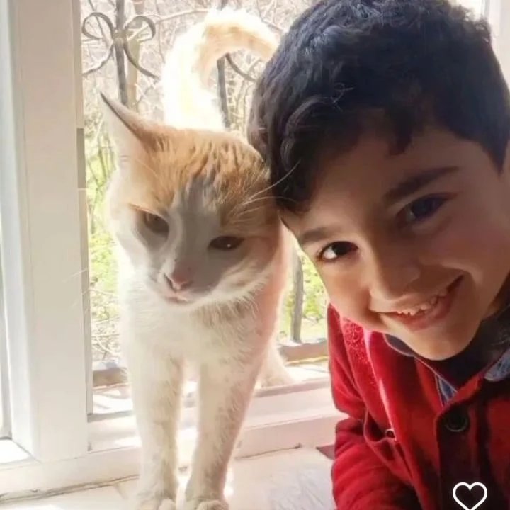 Arslan