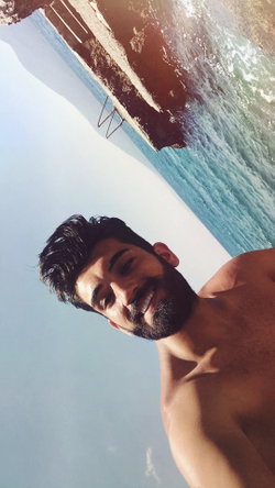 Şahin