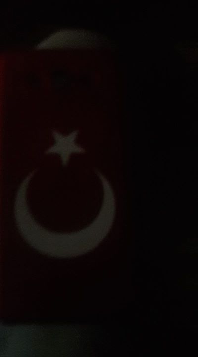 Haluk