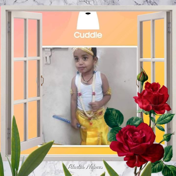 Dipu