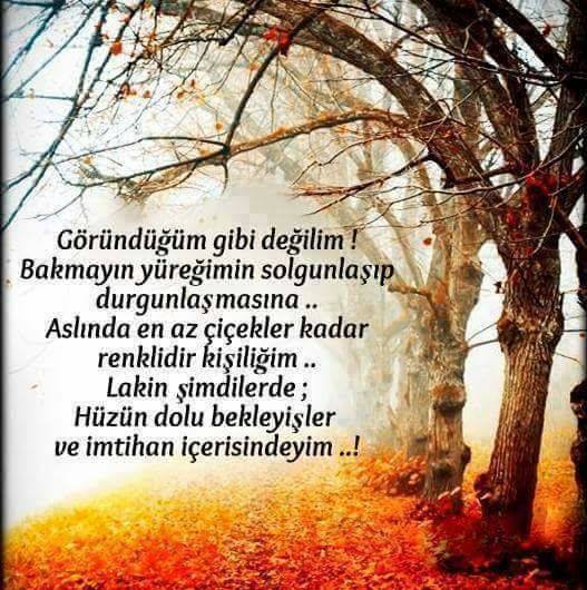 Zeynep