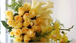 Asya