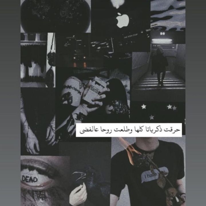 العقراب