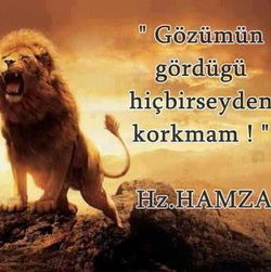 Hasan