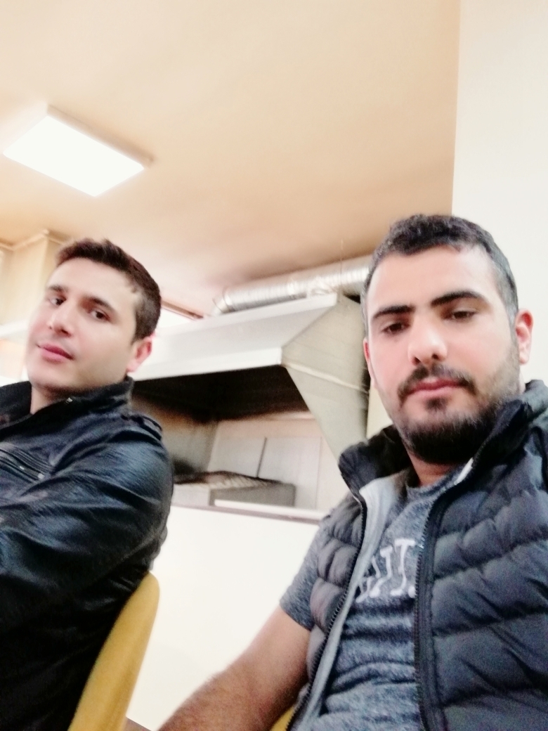 Doğan