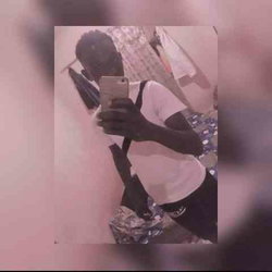 Lamin