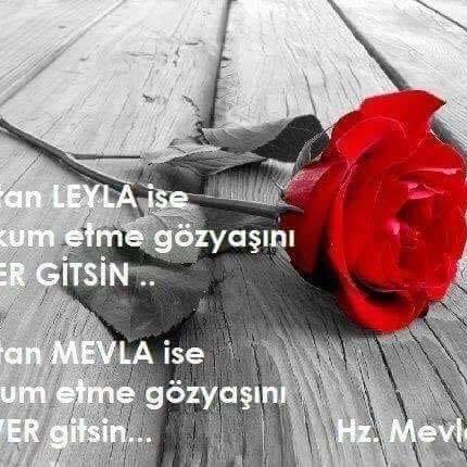 Memet