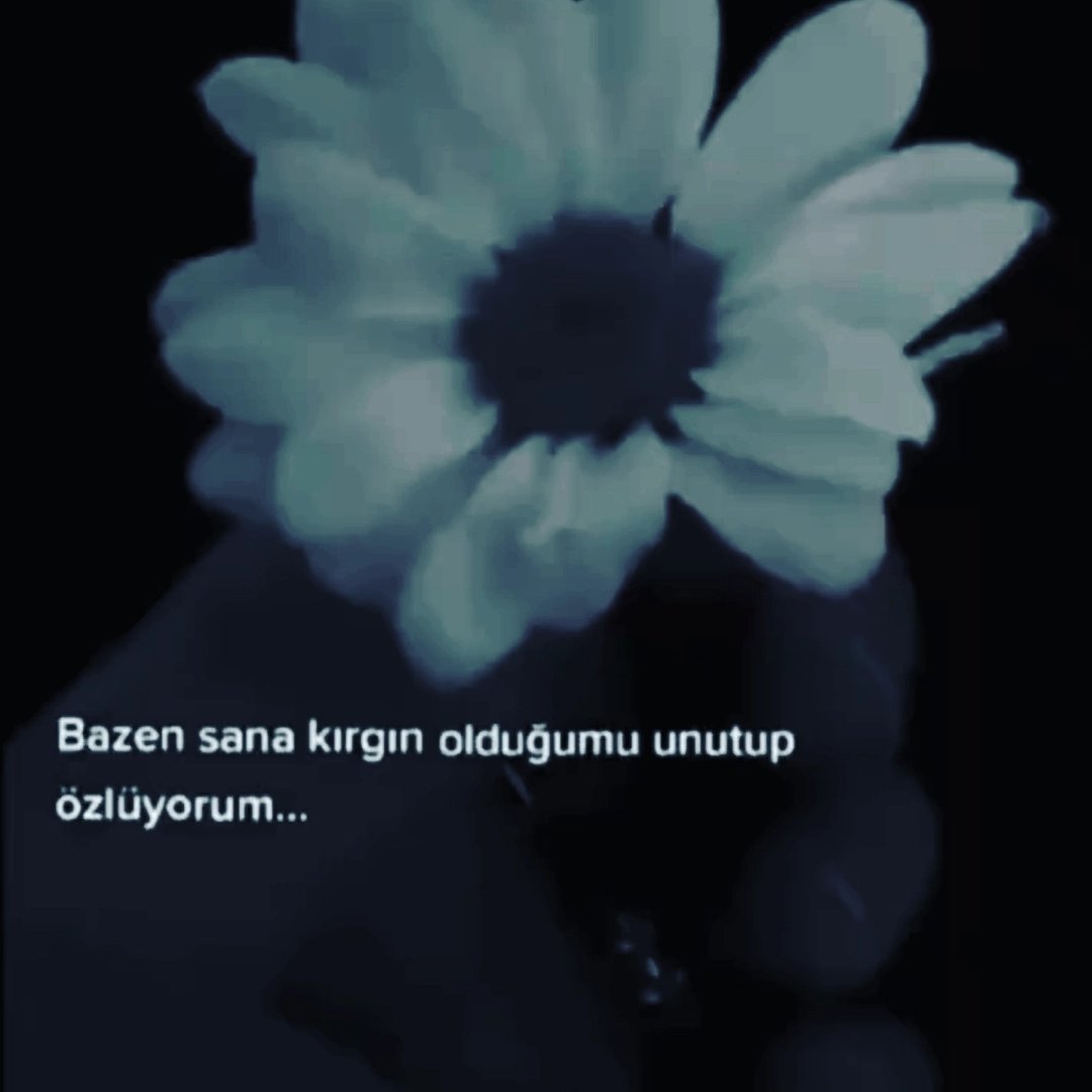 Aara