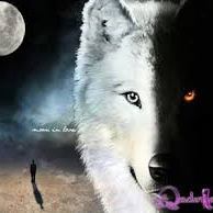 Aysun