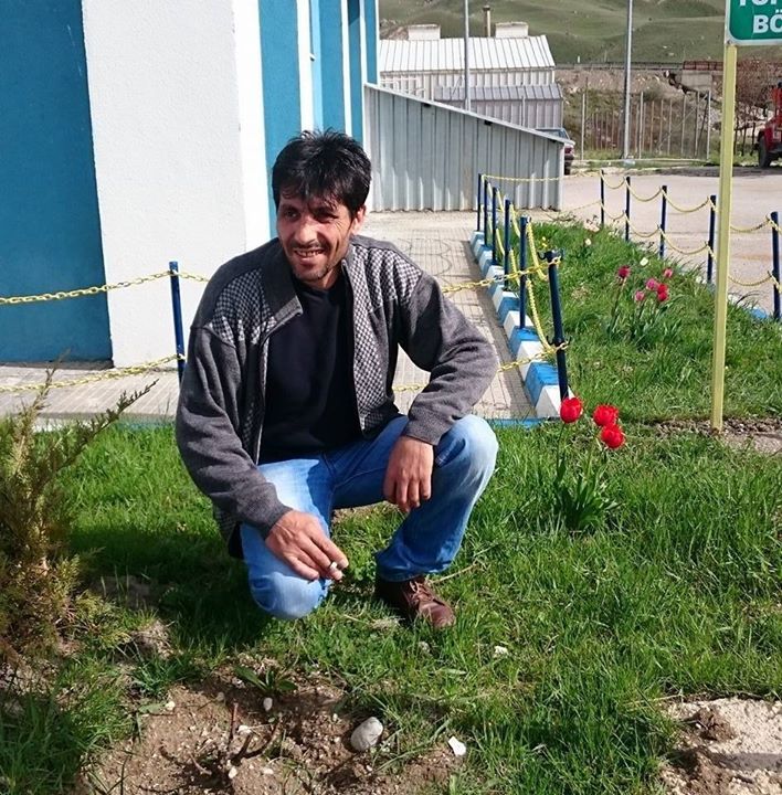 Arif