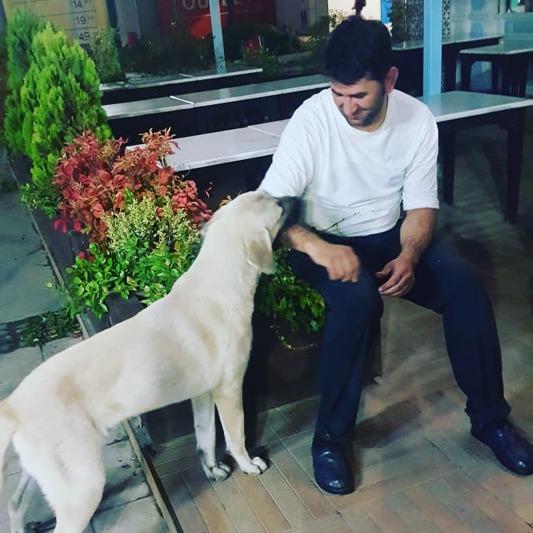 Engin