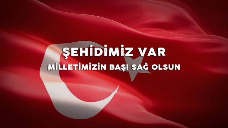 Hayal