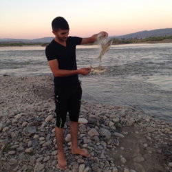 Mahsum