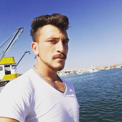 Şahin
