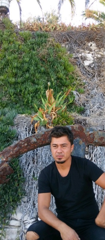 Ali