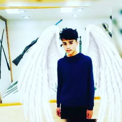Hady