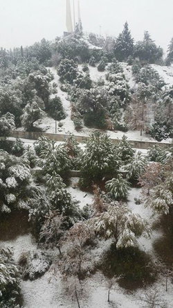 Selçuk