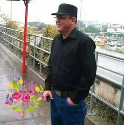 Ali
