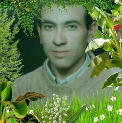 Cemal