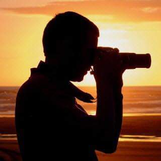 Sungur