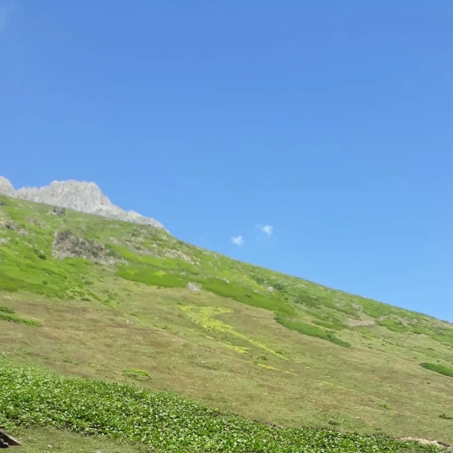 Gulşen