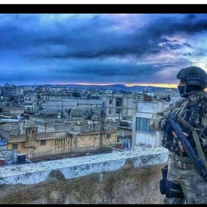 Habip