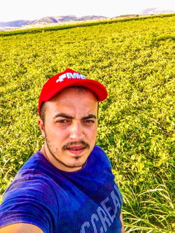 Onur