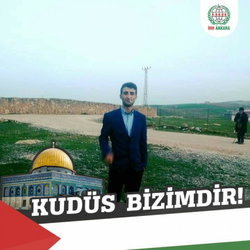 Şahin