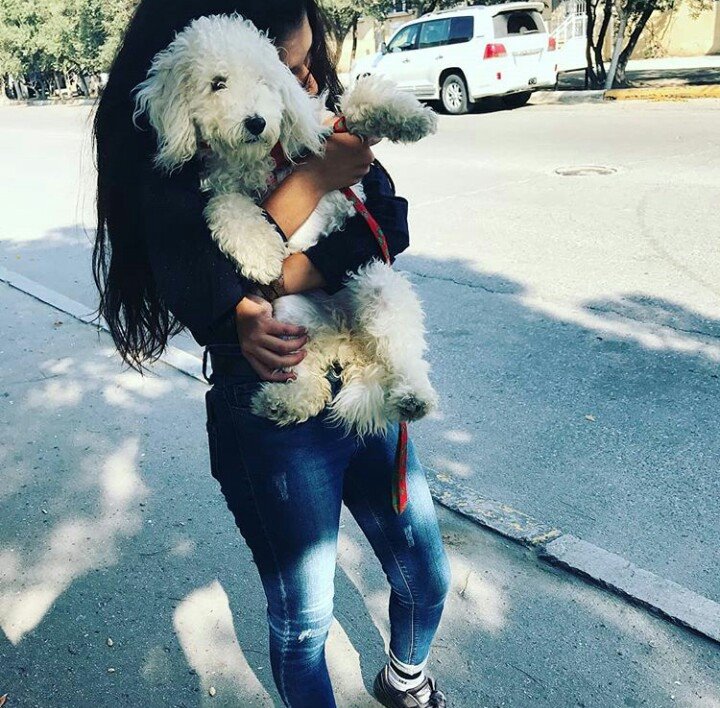 Elif