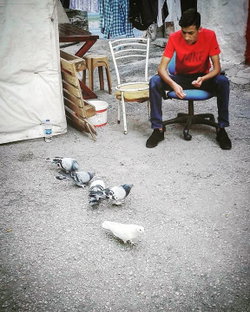 Polat