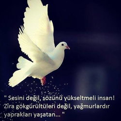 Kübra