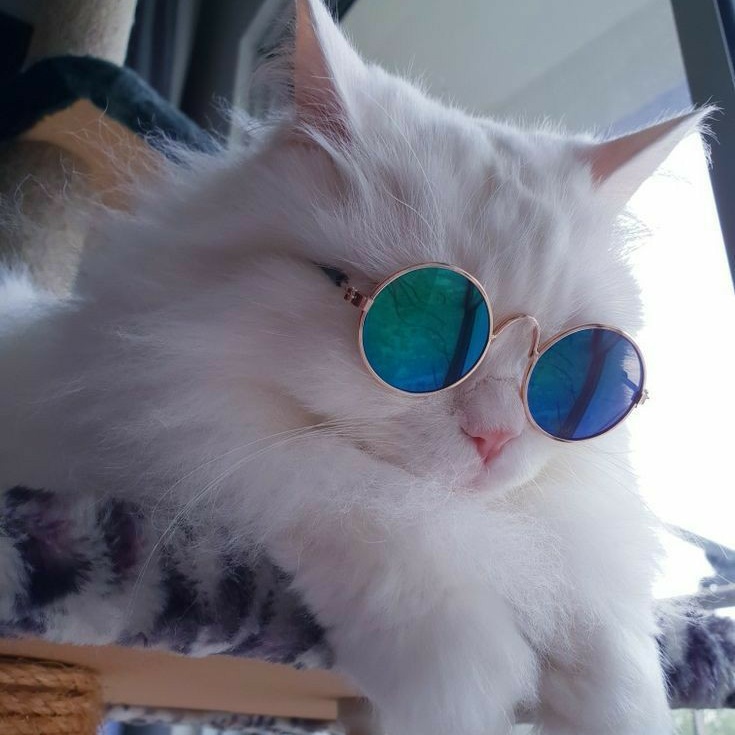 Zeynep