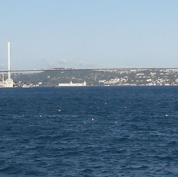 Mert