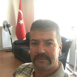 Mücahit
